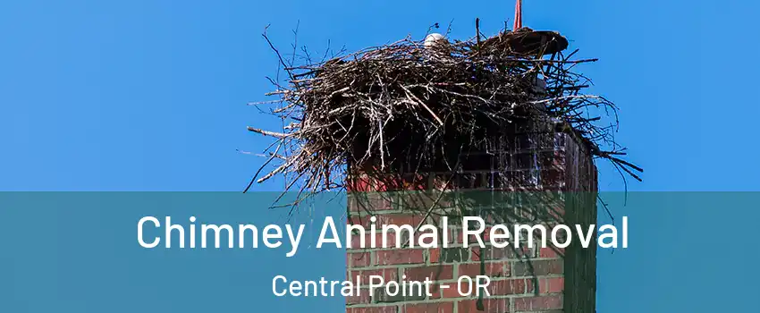 Chimney Animal Removal Central Point - OR