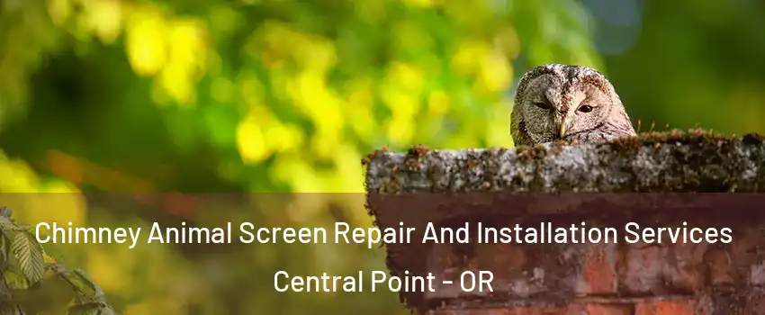 Chimney Animal Screen Repair And Installation Services Central Point - OR