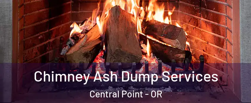  Chimney Ash Dump Services Central Point - OR