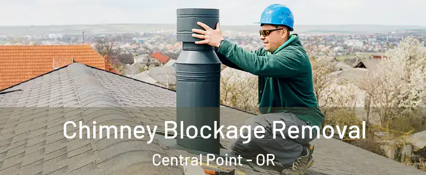  Chimney Blockage Removal Central Point - OR