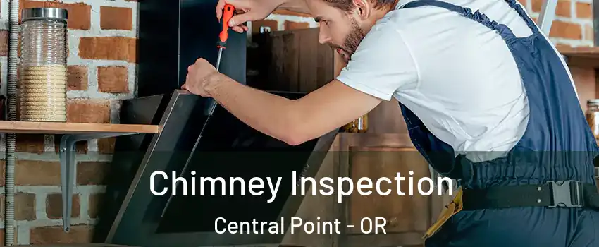  Chimney Inspection Central Point - OR