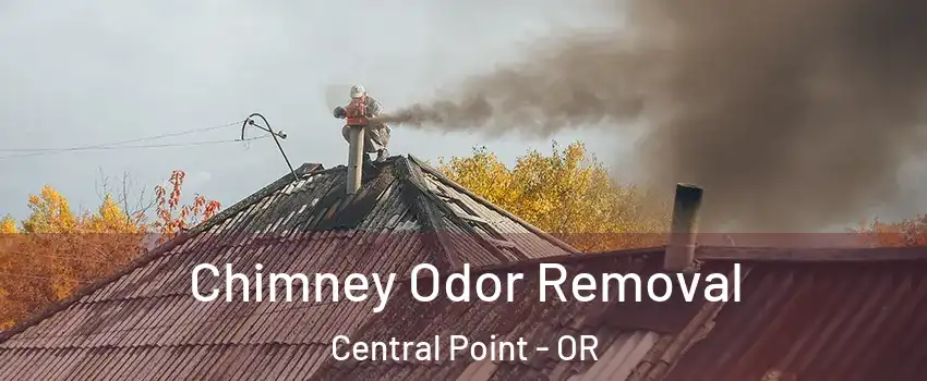  Chimney Odor Removal Central Point - OR