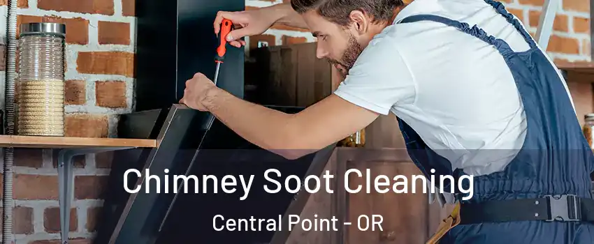  Chimney Soot Cleaning Central Point - OR
