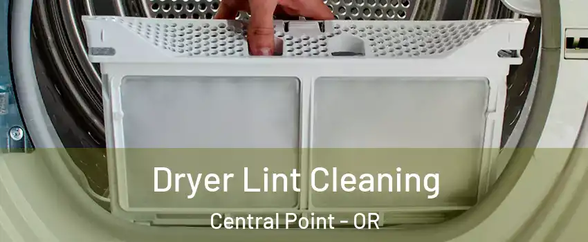 Dryer Lint Cleaning Central Point - OR