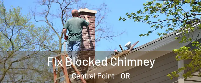  Fix Blocked Chimney Central Point - OR