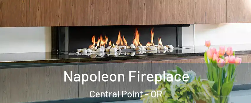  Napoleon Fireplace Central Point - OR